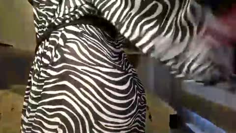 Snapshot of dom_mummy chatting on 9, 3, 2025 DOM MUMMY online show from 9, 3, 2025