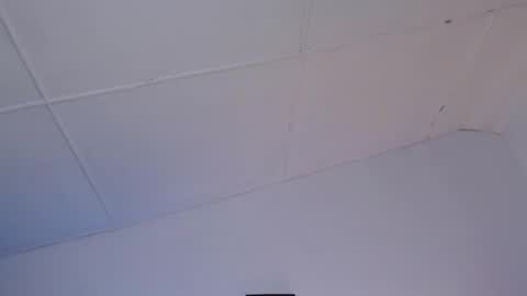 domenica online show from 19, 12, 2024