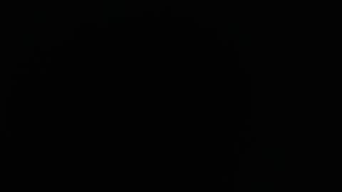 domenica online show from 16, 12, 2025