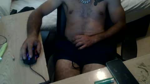 domin_87 online show from 20, 6, 2026