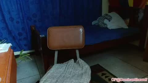 Logan - INDEPENDET MODEL online show from 11, 5, 2026
