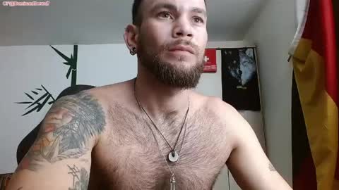 Logan - INDEPENDET MODEL online show from 11, 5, 2026