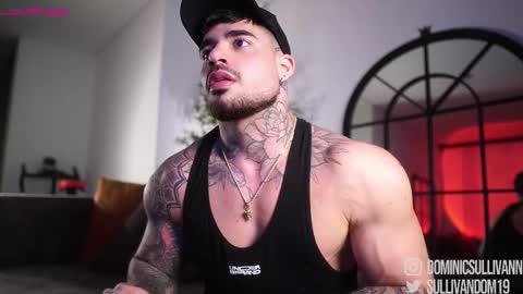 Snapshot of dominic_sullivan1 chatting on 6, 2, 2026 Dominic Sullivan online show from 6, 2, 2026