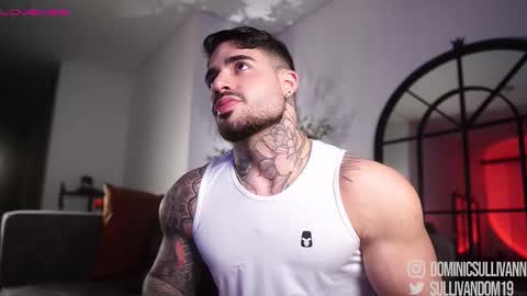 Snapshot of dominic_sullivan1 chatting on 7, 2, 2026 Dominic Sullivan online show from 7, 2, 2026