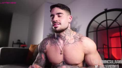 Snapshot of dominic_sullivan1 chatting on 12, 2, 2026 Dominic Sullivan online show from 12, 2, 2026