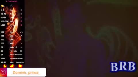 DOMINIC PRINCE   online show from 7, 10, 2025