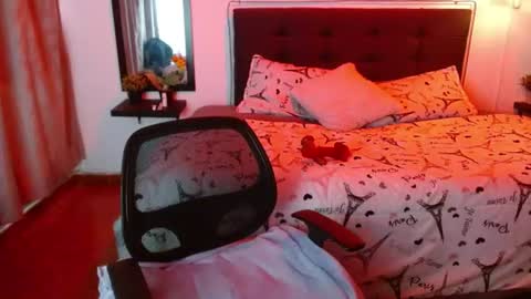 Snapshot of domink_gilr chatting on 1, 7, 2026 D O M I N K online show from 1, 7, 2026