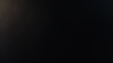 Dominus online show from 17, 11, 2025