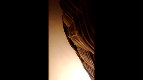 doreanse7327952 online show from 6, 2, 2026