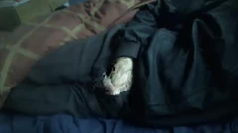 Hello  welcome to Slutsville  I am the Naked Chef  really  but you may call me Peter online show from 12, 1, 2026