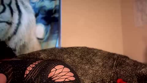 dove_love22 online show from 9, 1, 2026