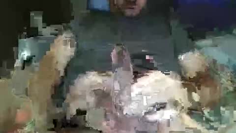 downtown831 online show from 26, 2, 2026