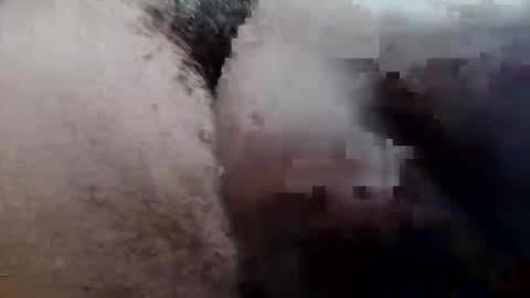 MrPirated online show from 29, 9, 2025