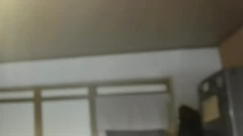 Dreambob online show from 1, 11, 2025