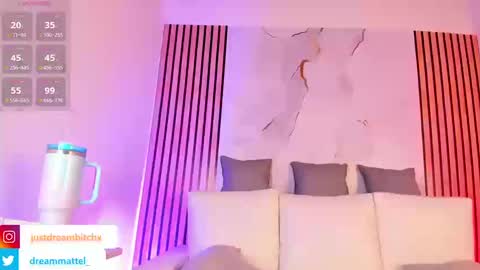 Snapshot of dreammatell_ chatting on 13, 3, 2026 Dream Matell online show from 13, 3, 2026