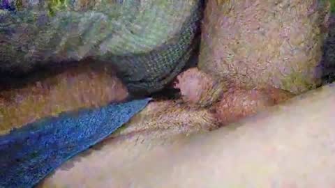 drew8649890274 online show from 3, 11, 2025