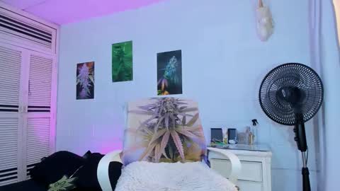 Snapshot of drippyorlove chatting on 24, 2, 2026 drippyorlove online show from 24, 2, 2026