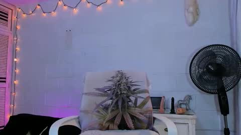 Snapshot of drippyorlove chatting on 30, 4, 2026 drippyorlove online show from 30, 4, 2026