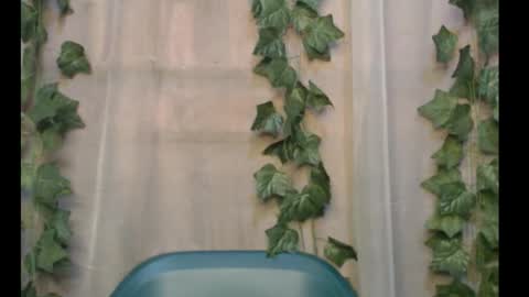 linda online show from 28, 9, 2025