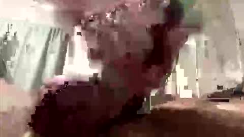 droppingloads82 online show from 8, 3, 2026