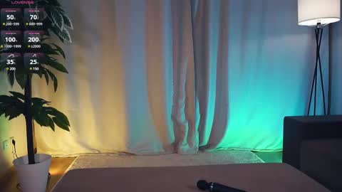 Polly day and Amelia night online show from 14, 2, 2025