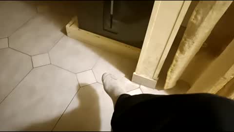 dthedog12 online show from 1, 3, 2025