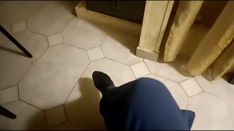 dthedog12 online show from 3, 3, 2025