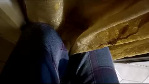 dthedog12 online show from 12, 3, 2025