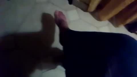 dthedog12 online show from 25, 11, 2025