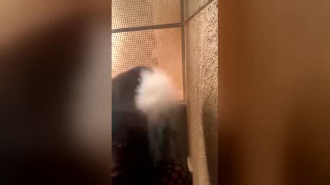 Dtx Trophy online show from 4, 4, 2026