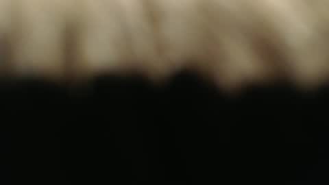 swiss kiss online show from 1, 3, 2025