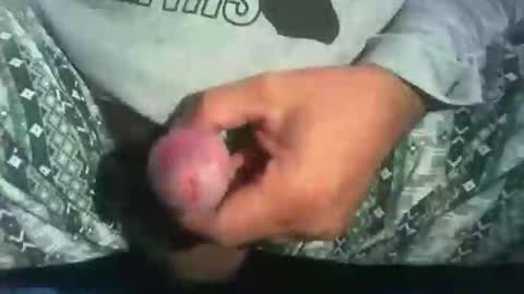 dude_13 online show from 16, 10, 2025