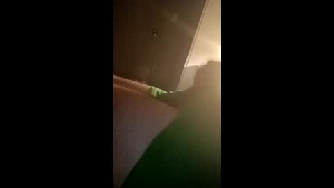 dugganmathew39 online show from 11, 1, 2026