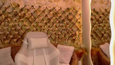 duskybeautyy online show from 2, 2, 2026