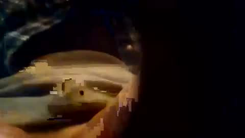 dusterdime online show from 8, 10, 2025