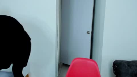 Dylan Taylor online show from 5, 10, 2025