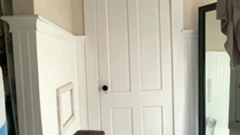 Dynasty online show from 17, 12, 2025