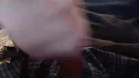 eat_a_peach2 online show from 12, 11, 2025