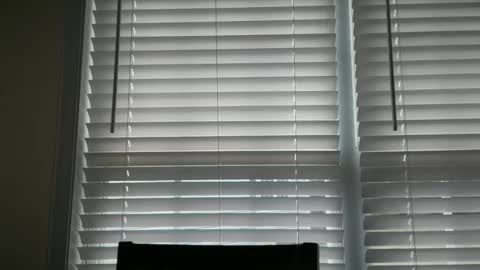 americnbarbie online show from 29, 10, 2025