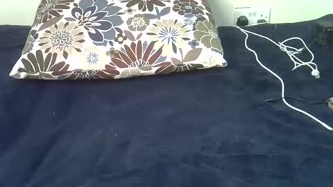 Snapshot of ebony_malika chatting on 26, 2, 2025 malika online show from 26, 2, 2025