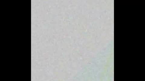 Echo online show from 21, 10, 2025