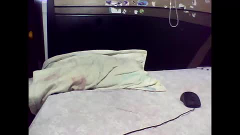 Snapshot of ed_big_cock chatting on 2, 11, 2025 Edd Gallego online show from 2, 11, 2025