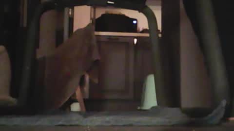 edgemaster83 online show from 11, 1, 2026