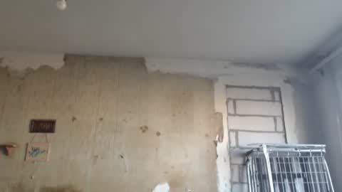 Alexander online show from 12, 2, 2025