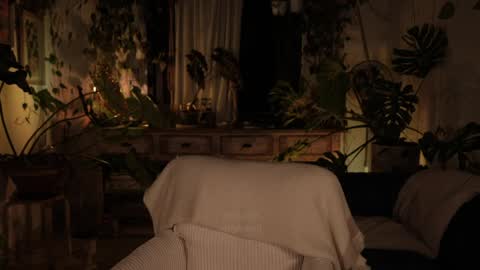 Effy online show from 7, 4, 2026