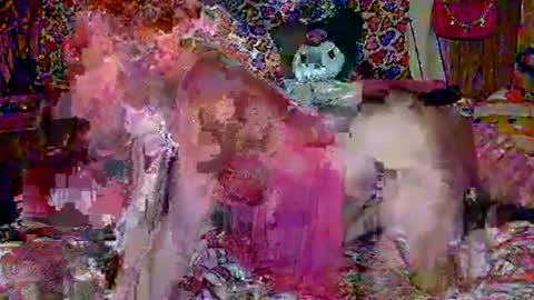 Snapshot of egirlhaile chatting on 18, 2, 2025 Sparkly Haile online show from 18, 2, 2025