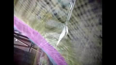 Snapshot of eirma7991 chatting on 25, 2, 2026 eirma7991 online show from 25, 2, 2026