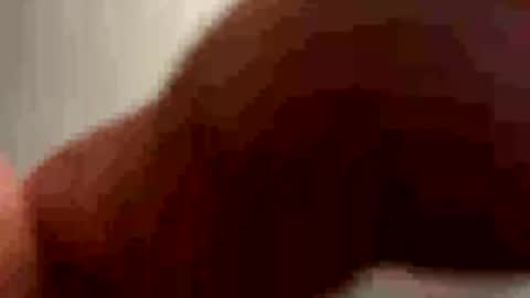 PiedPiper online show from 3, 5, 2026