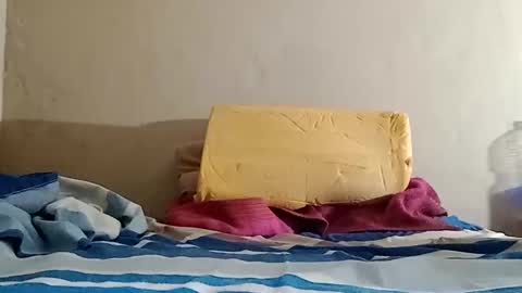 Snapshot of el131140 chatting on 31, 10, 2025 Sebastin online show from 31, 10, 2025