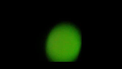 Snapshot of eldonan chatting on 24, 10, 2025 Nando online show from 24, 10, 2025